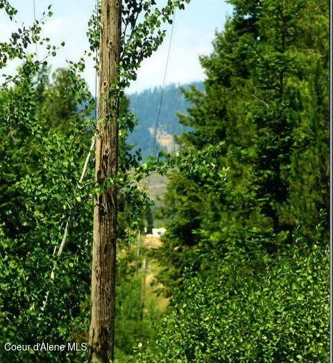 NKA TAMARACK RIDGE ROAD 1.35 ACRES Cataldo, ID 83810