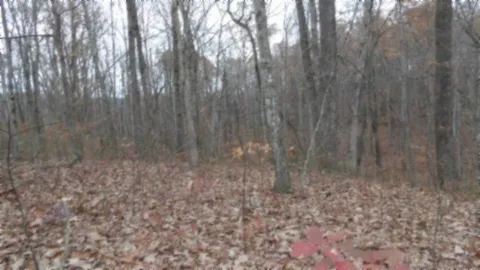 0 Cumberland Cove Rd