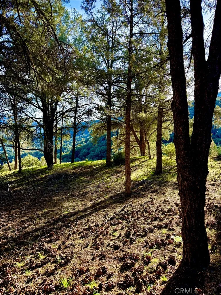 2604 Tirol Pine Mountain Club, CA 93225