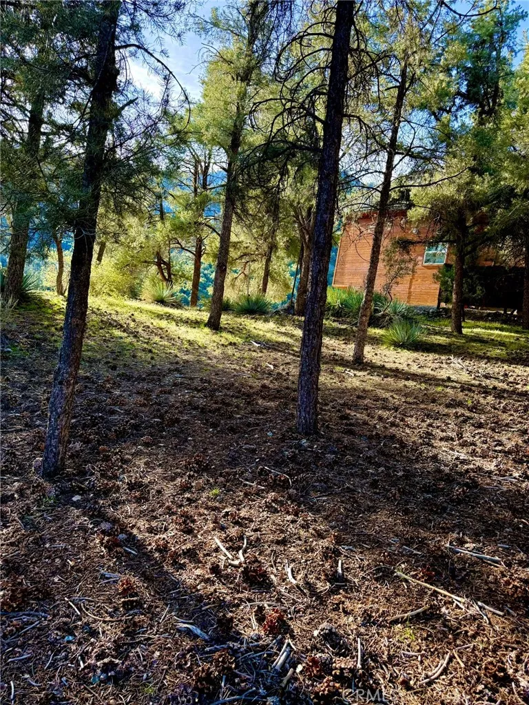 2604 Tirol Pine Mountain Club, CA 93225