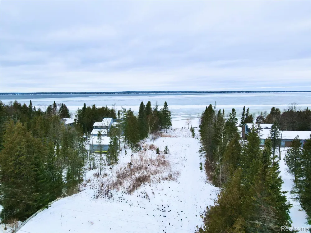 1197 Needle Point Drive Cheboygan City, MI 49721