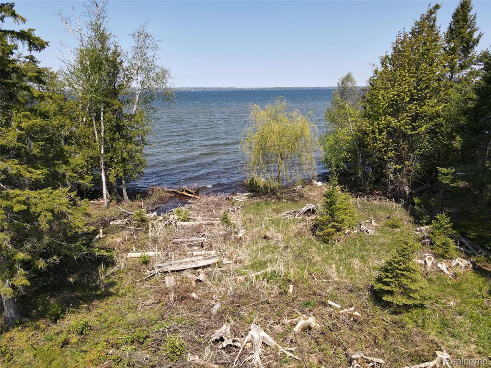 1197 Needle Point Drive Cheboygan City, MI 49721