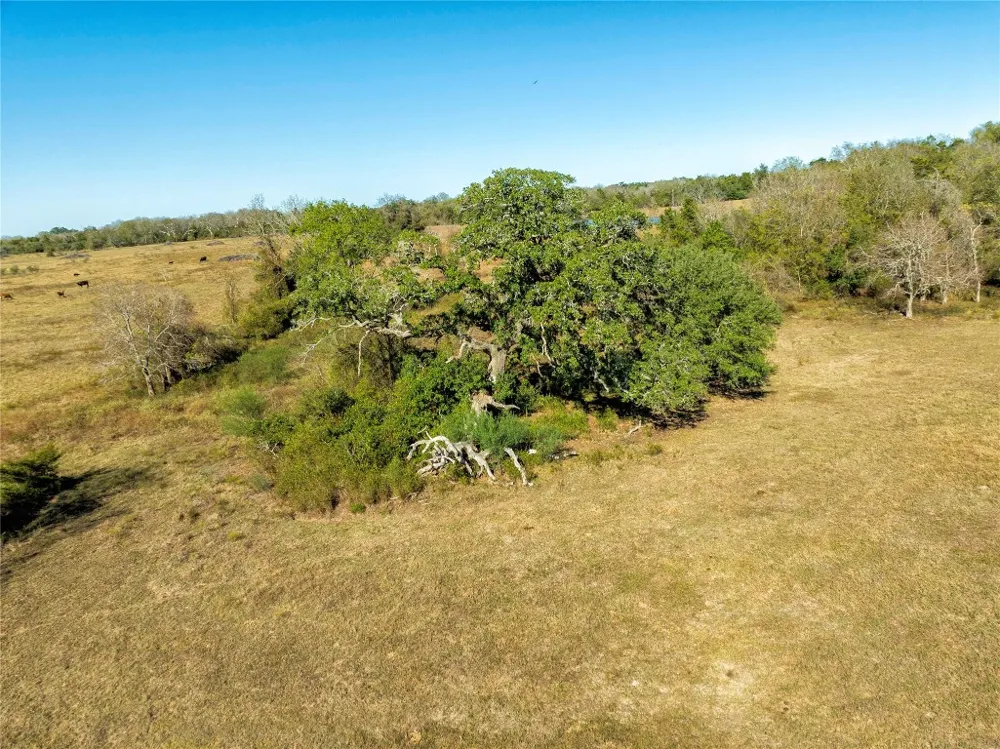 FM 532 Hallettsville, TX 77964