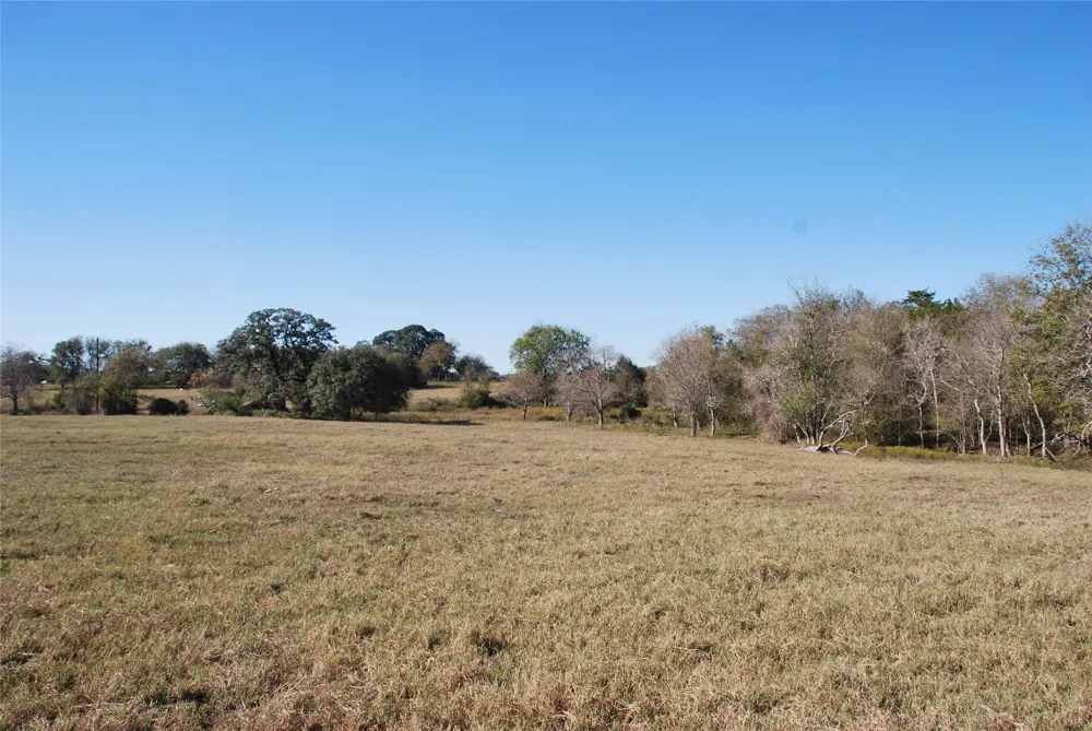 FM 532 Hallettsville, TX 77964