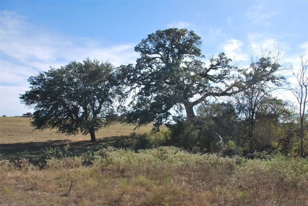 FM 532 Hallettsville, TX 77964