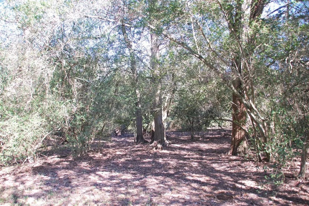 FM 532 Hallettsville, TX 77964