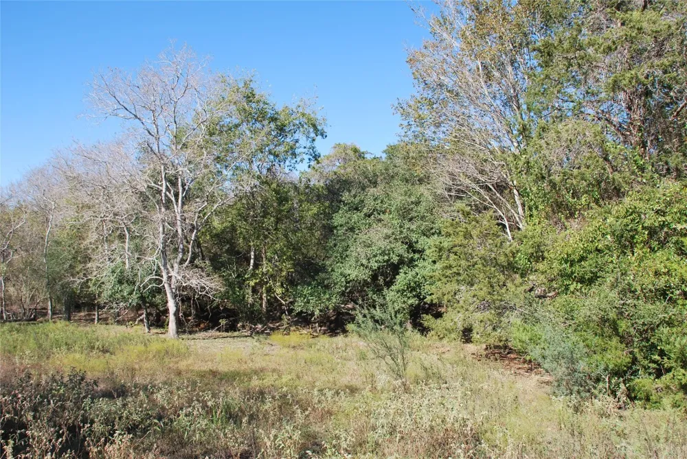 FM 532 Hallettsville, TX 77964