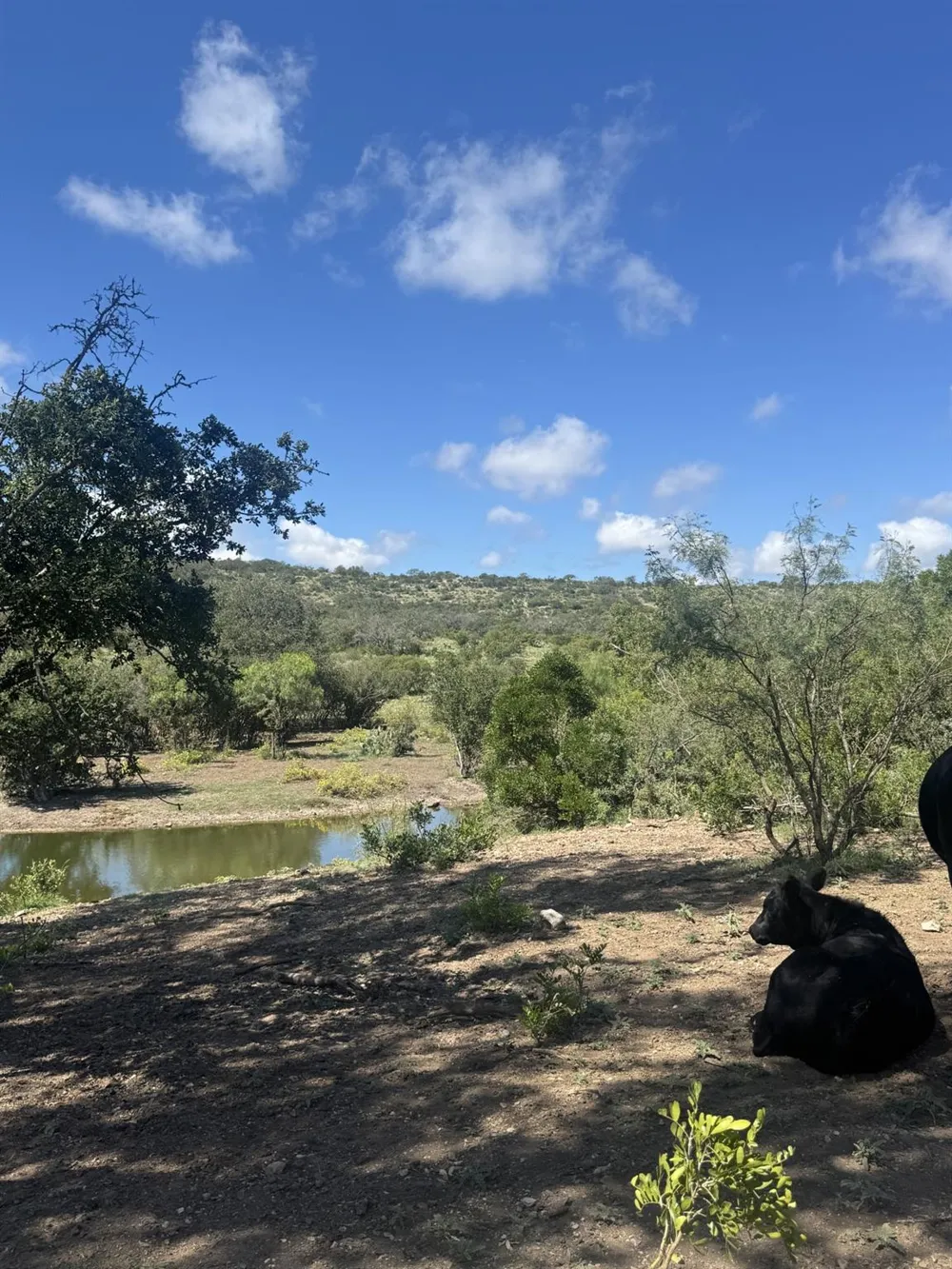 32 Private Road Rocksprings, TX 78880