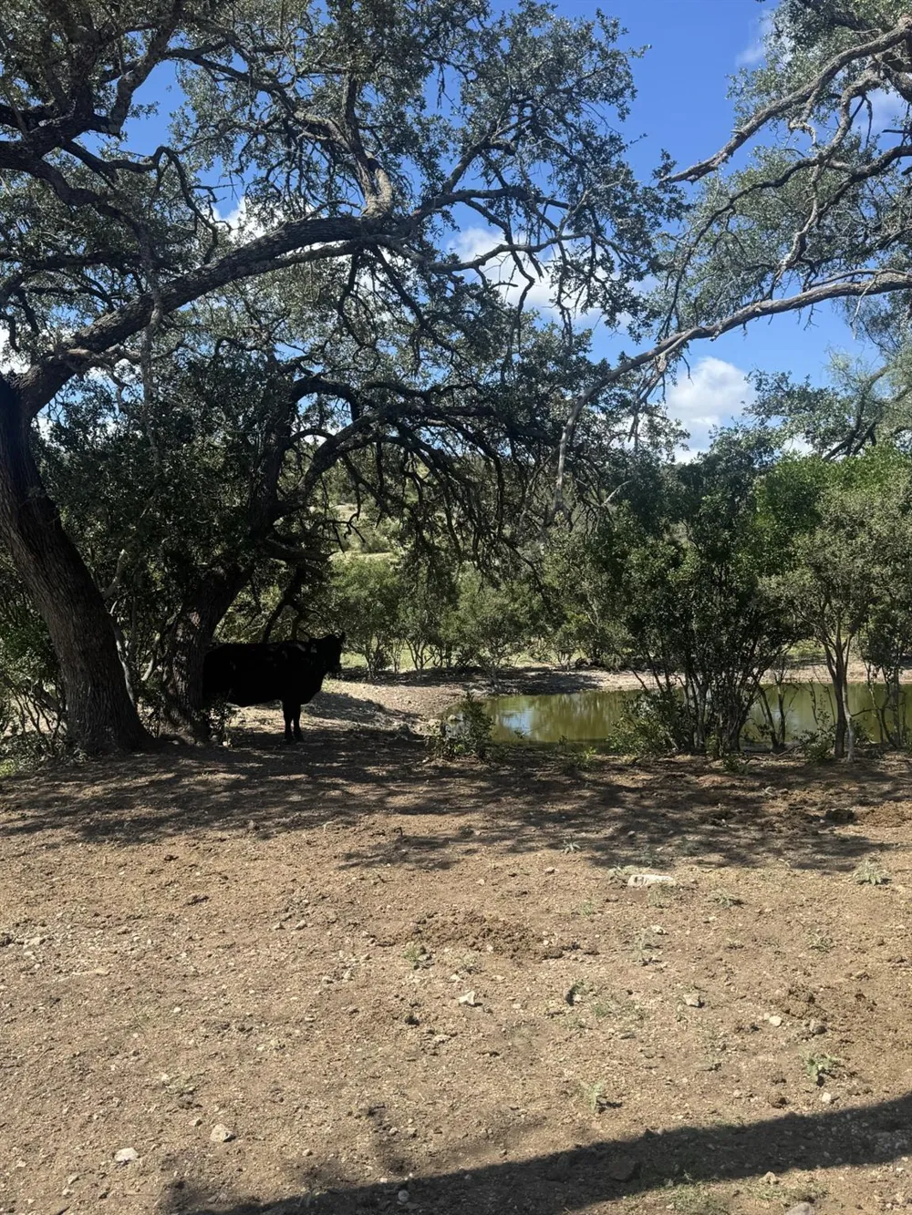 32 Private Road Rocksprings, TX 78880