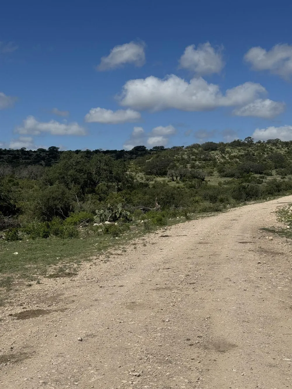32 Private Road Rocksprings, TX 78880