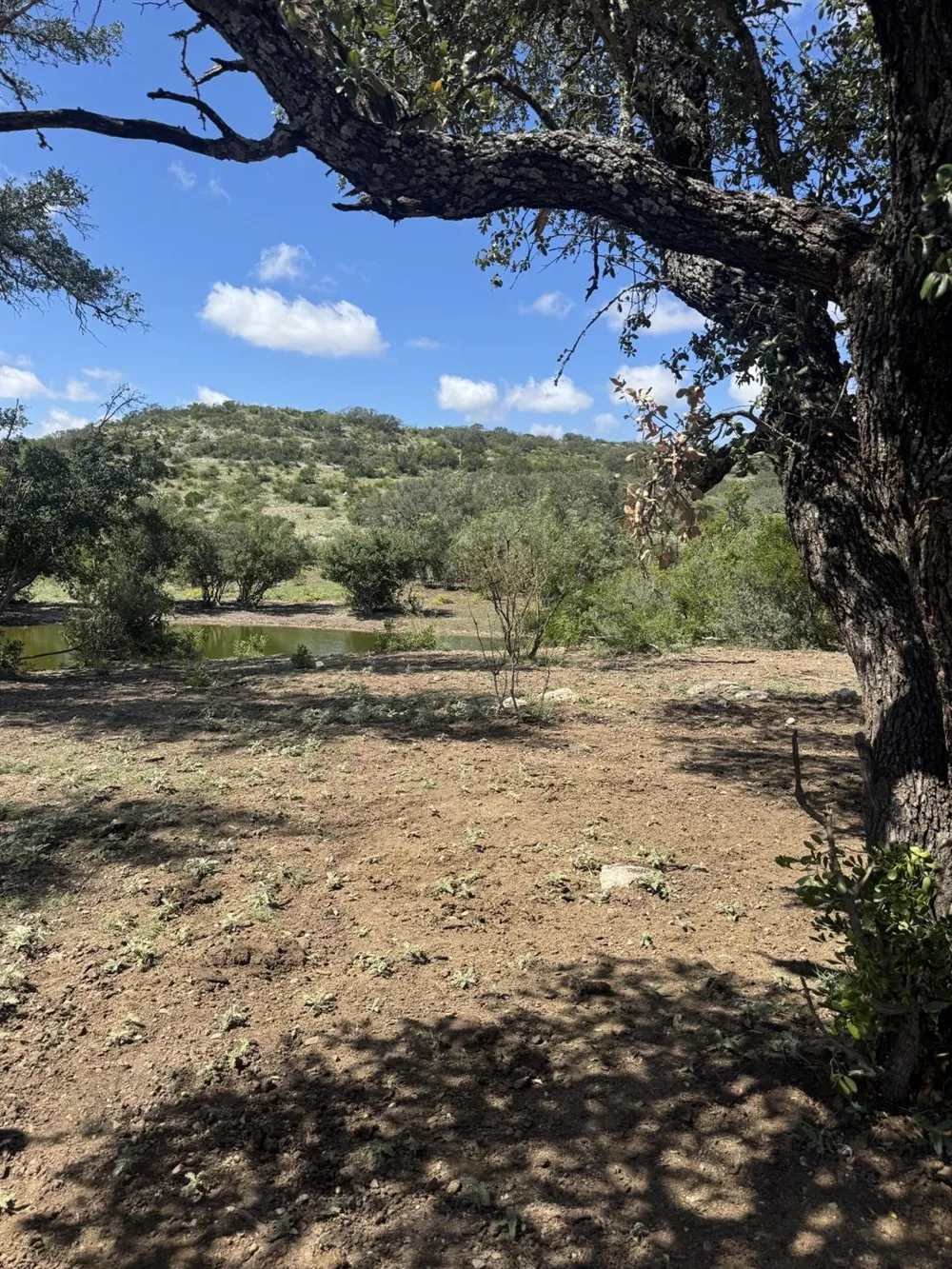32 Private Road Rocksprings, TX 78880