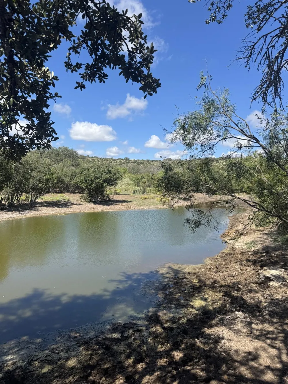 32 Private Road Rocksprings, TX 78880