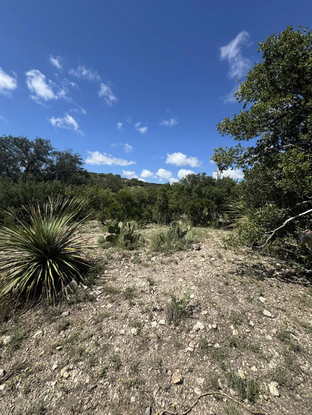 32 Private Road Rocksprings, TX 78880