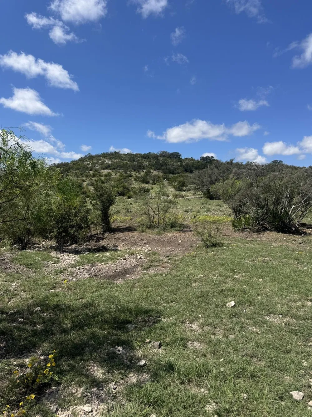 32 Private Road Rocksprings, TX 78880