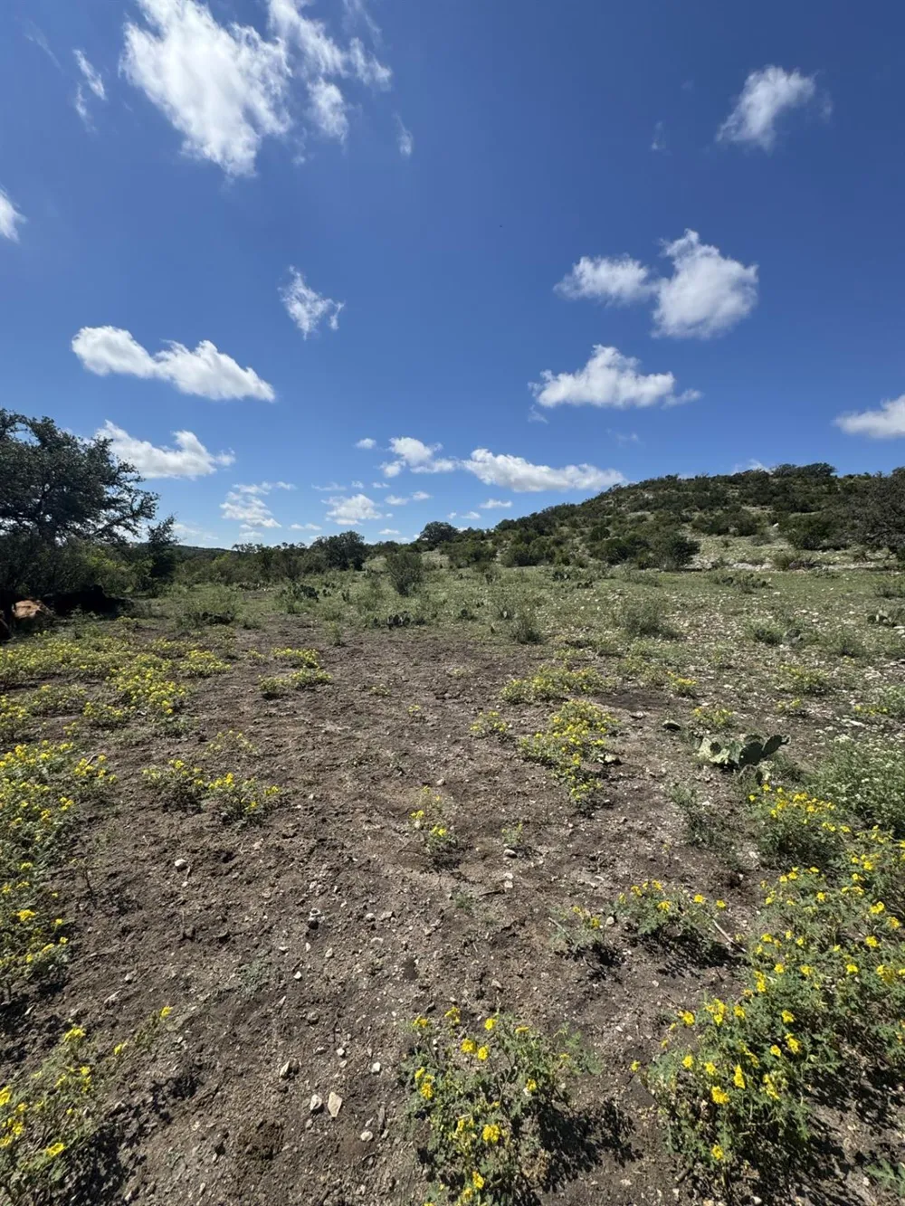 32 Private Road Rocksprings, TX 78880