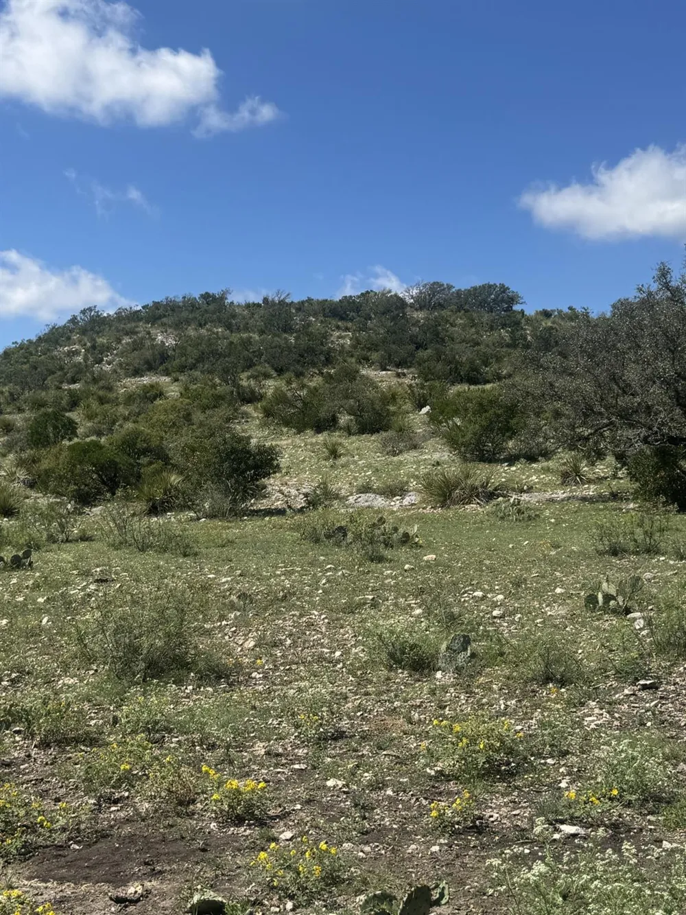 32 Private Road Rocksprings, TX 78880