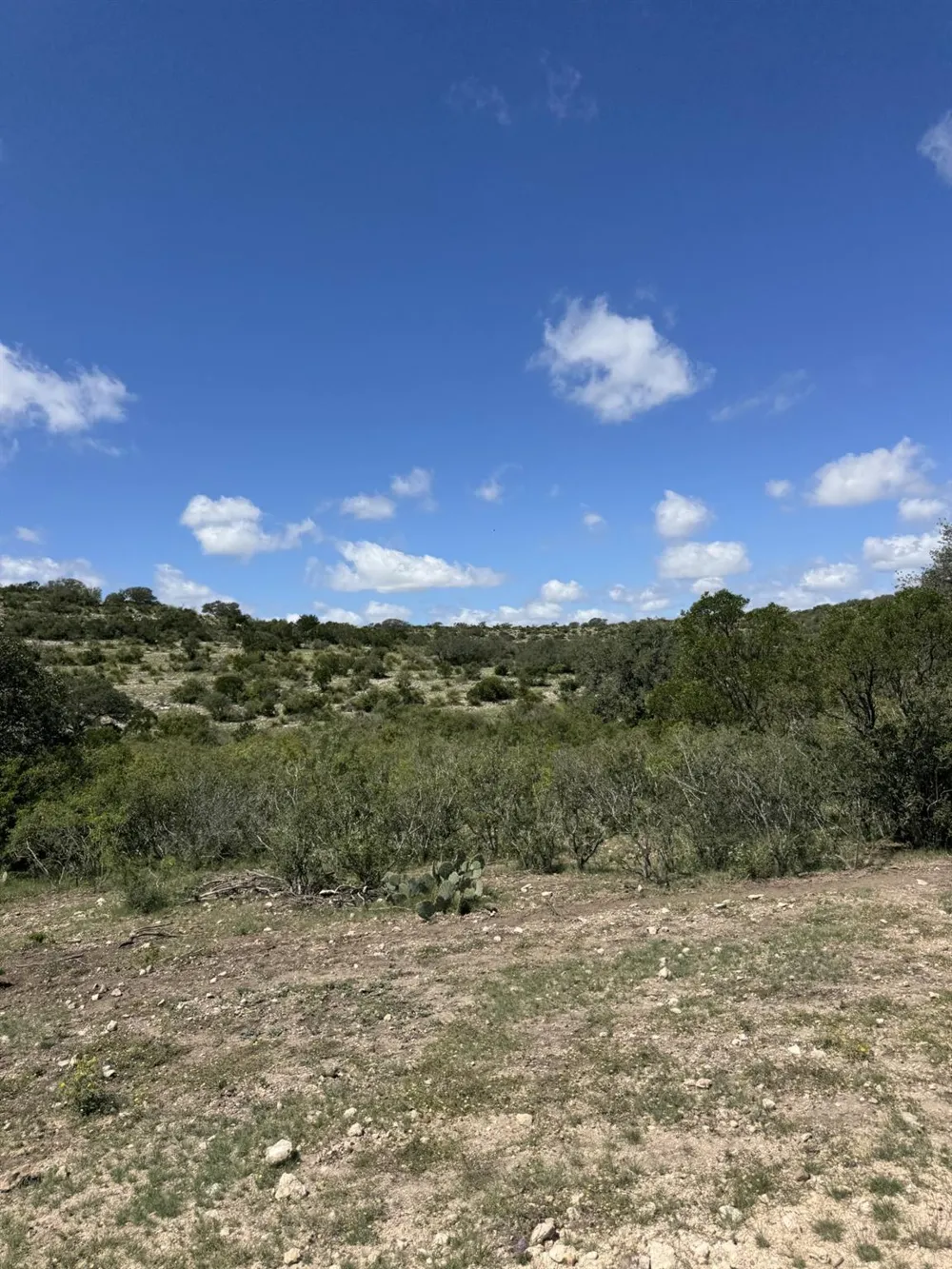 32 Private Road Rocksprings, TX 78880