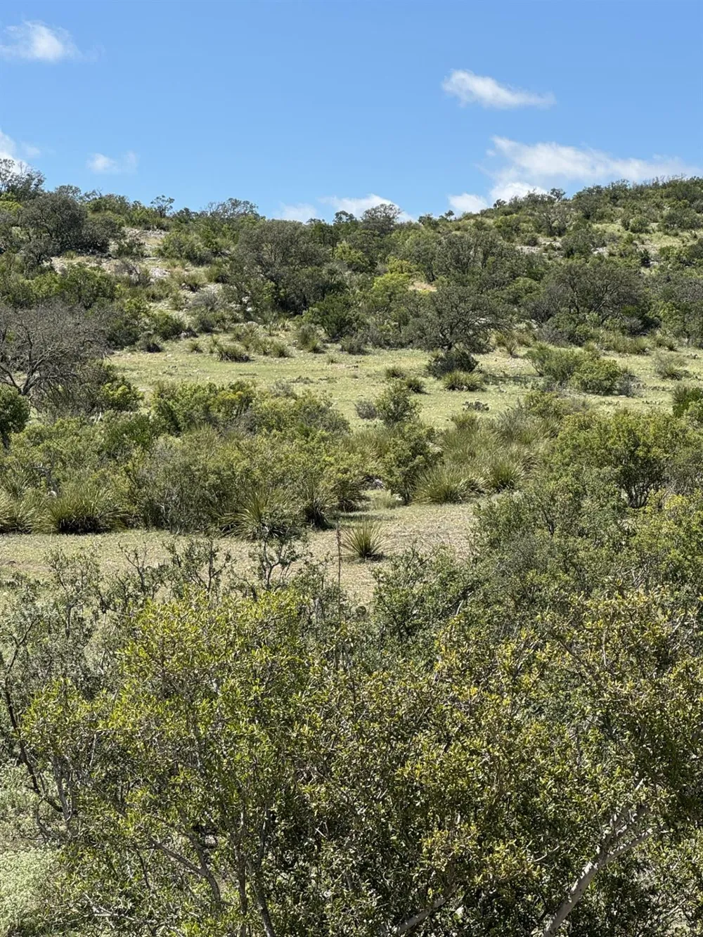 32 Private Road Rocksprings, TX 78880