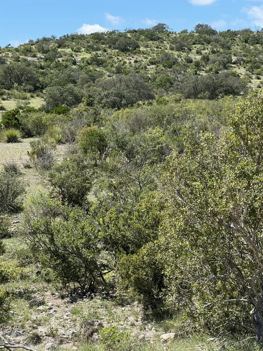 32 Private Road Rocksprings, TX 78880