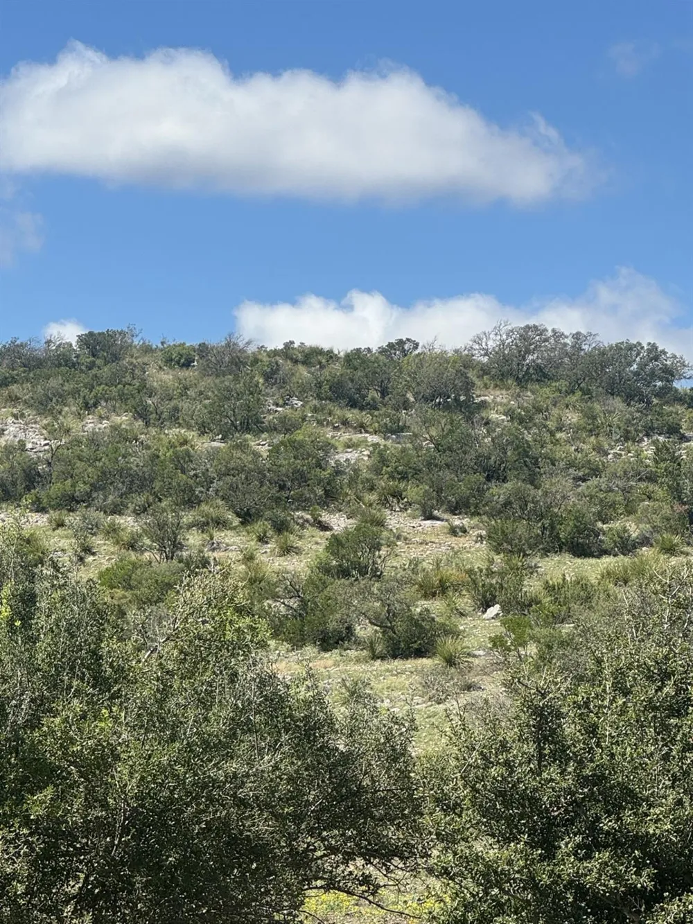 32 Private Road Rocksprings, TX 78880