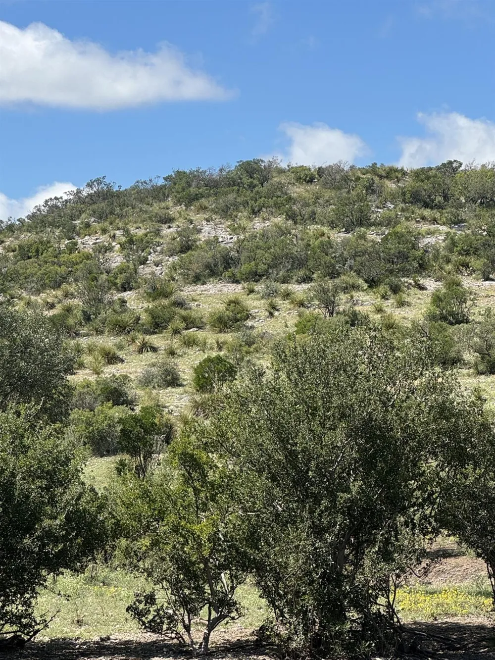 32 Private Road Rocksprings, TX 78880