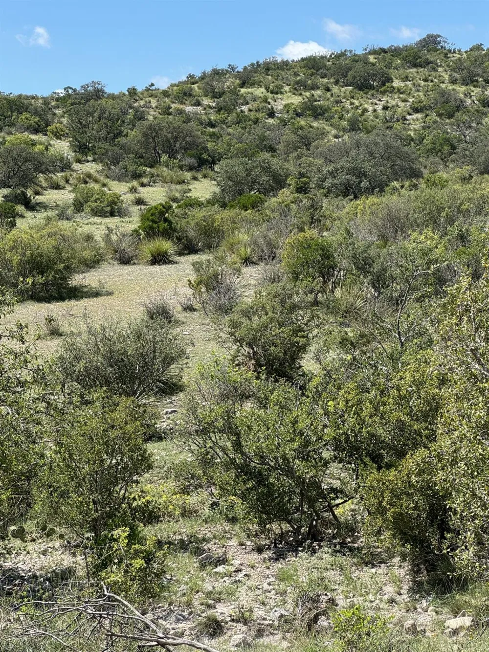 32 Private Road Rocksprings, TX 78880