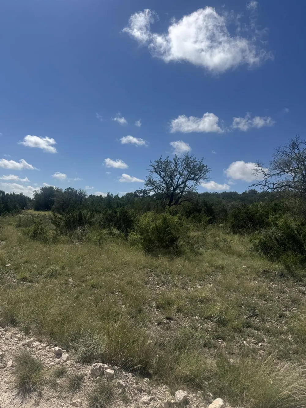 32 Private Road Rocksprings, TX 78880