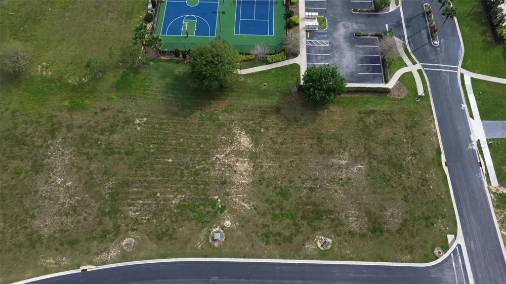 229 SNOWY ORCHID WAY Lake Alfred, FL 33850