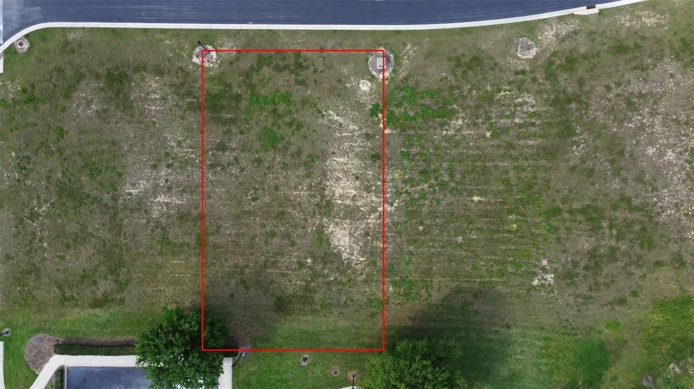 229 SNOWY ORCHID WAY Lake Alfred, FL 33850