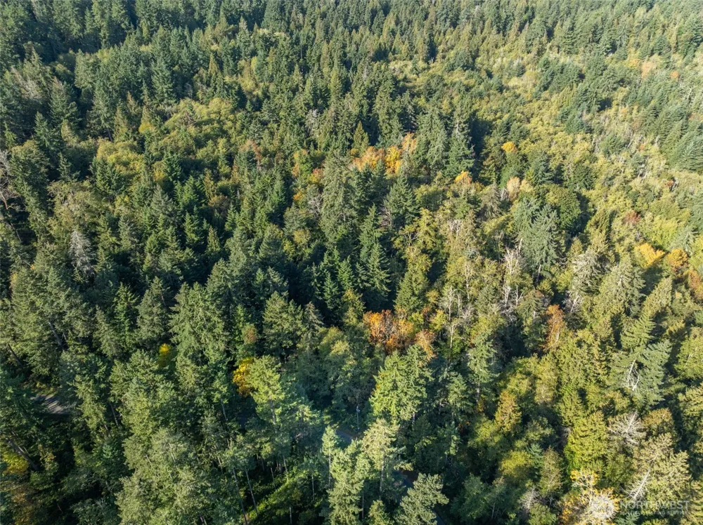 1 Yoman Rd Anderson Island, WA 98303