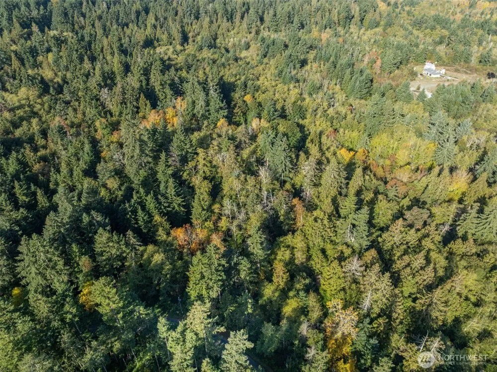 1 Yoman Rd Anderson Island, WA 98303