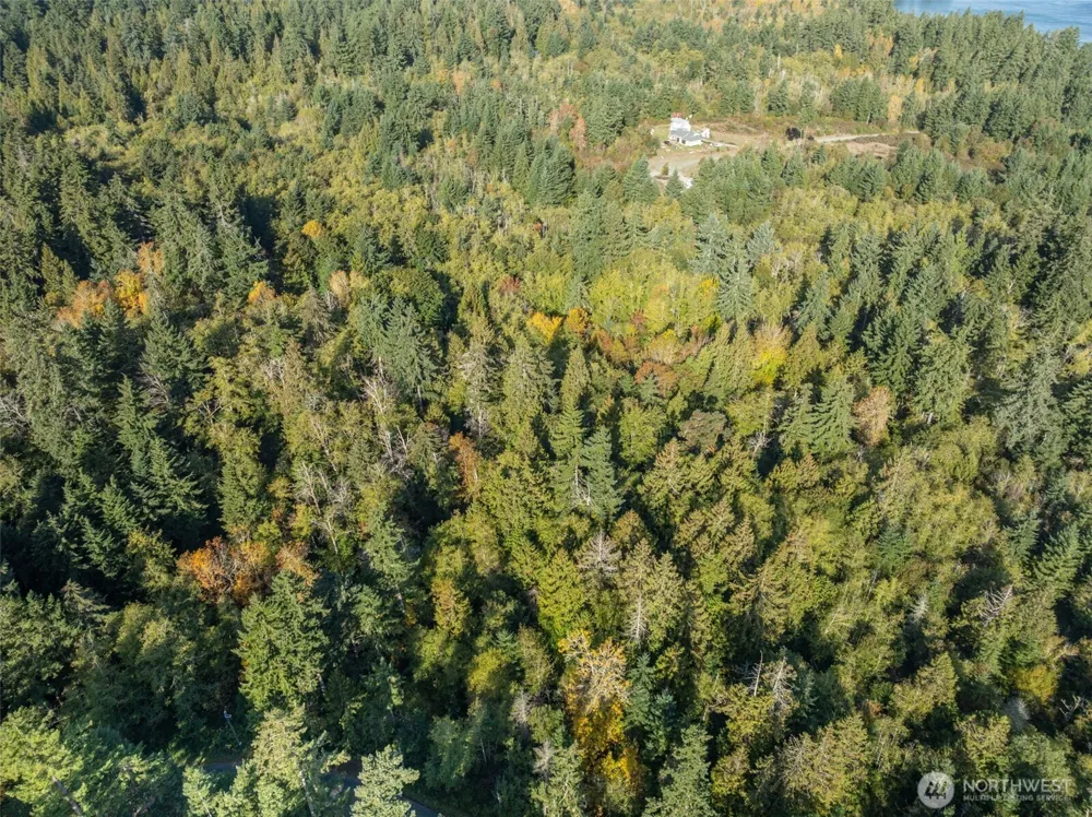 1 Yoman Rd Anderson Island, WA 98303