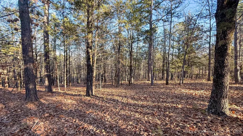 445188 E 1739 ROAD Nashoba, OK 74558