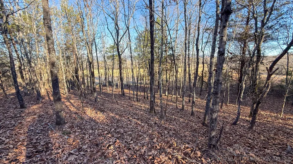 445188 E 1739 ROAD Nashoba, OK 74558