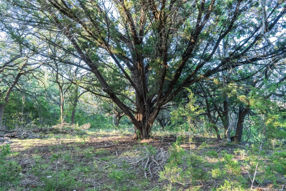 Crabapple Road Blanco, TX 78606