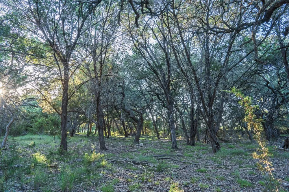 Crabapple Road Blanco, TX 78606