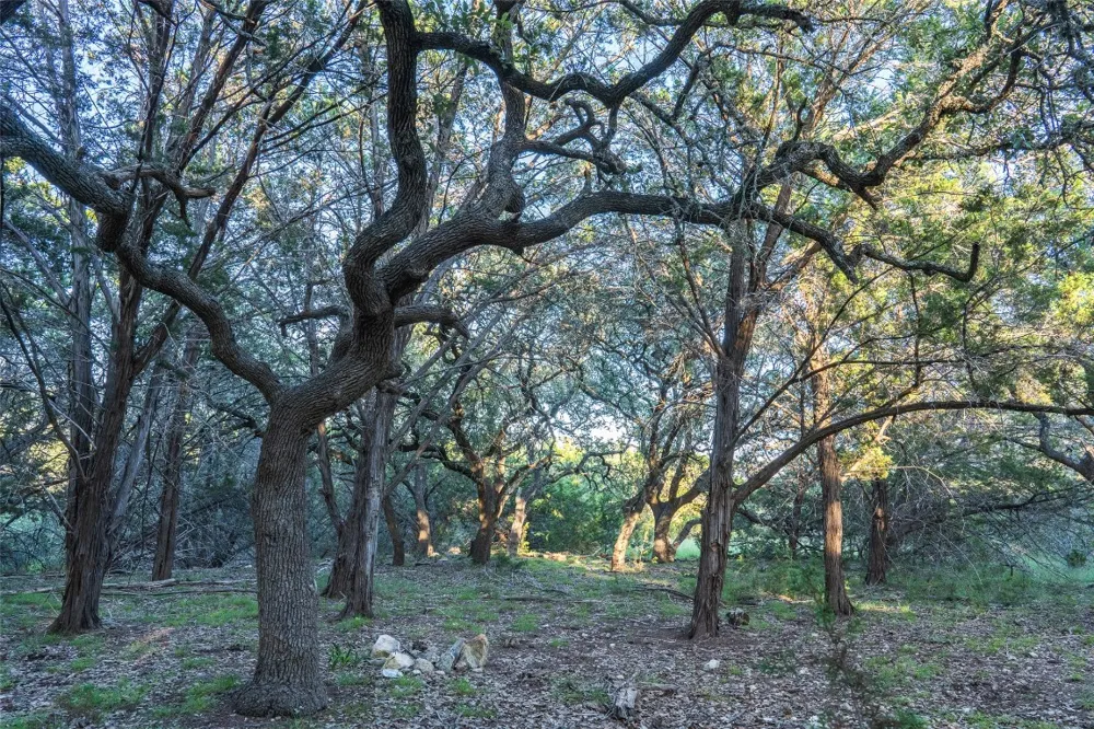 Crabapple Road Blanco, TX 78606