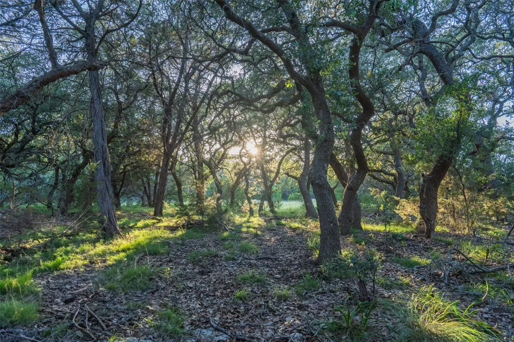 Crabapple Road Blanco, TX 78606