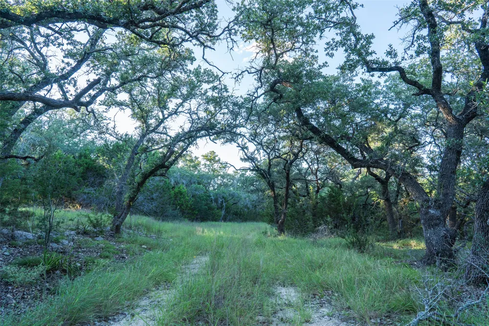 Crabapple Road Blanco, TX 78606