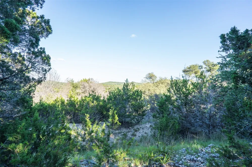 Crabapple Road Blanco, TX 78606