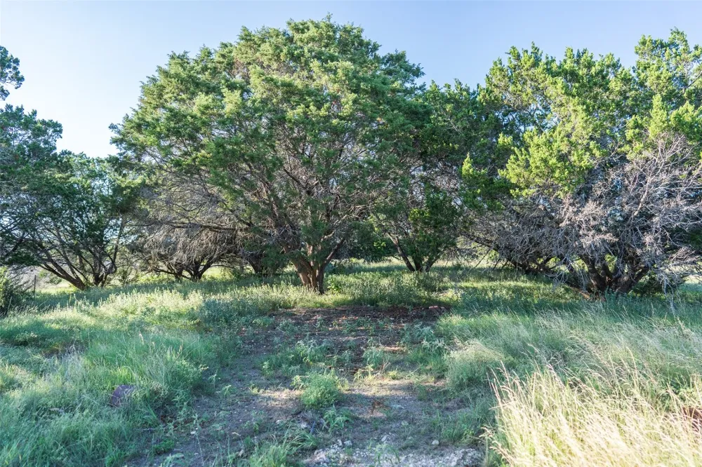 Crabapple Road Blanco, TX 78606