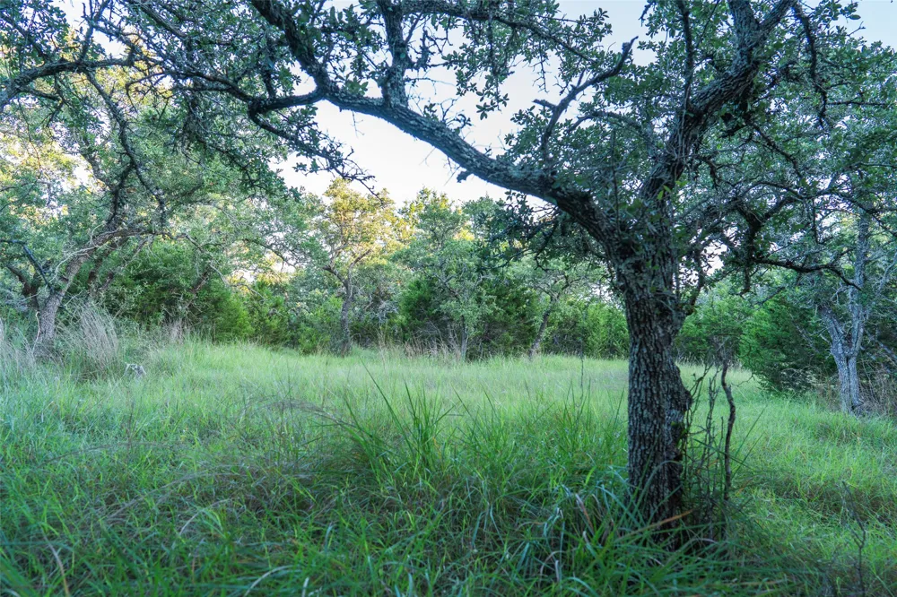 Crabapple Road Blanco, TX 78606