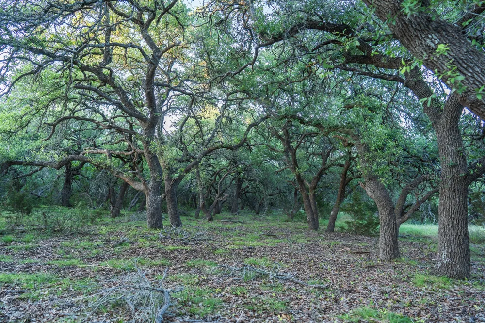 Crabapple Road Blanco, TX 78606