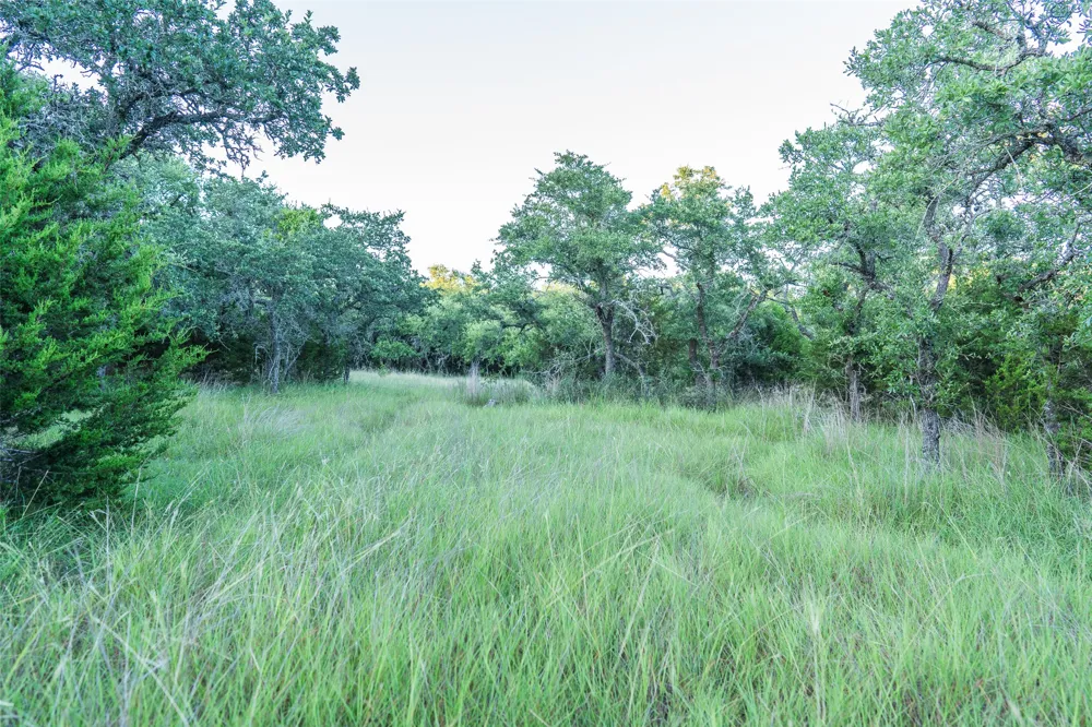 Crabapple Road Blanco, TX 78606