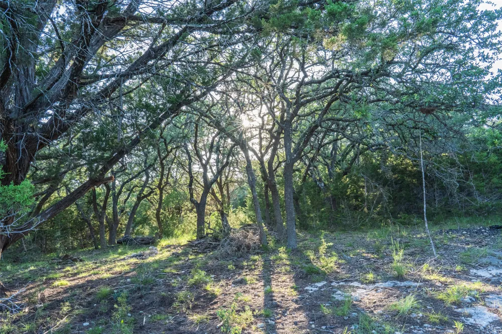 Crabapple Road Blanco, TX 78606