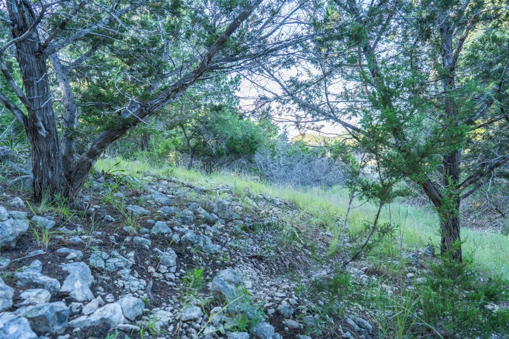 Crabapple Road Blanco, TX 78606
