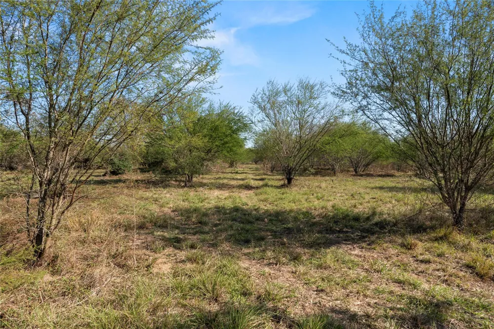6490 Adams Flat Road Brookshire, TX 77423