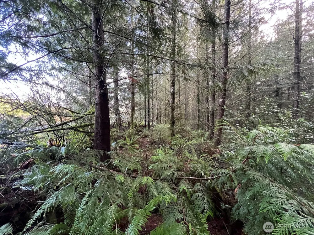 1 xxx Snow Creek Road Quilcene, WA 98376