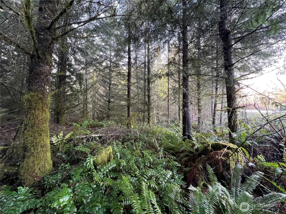 1 xxx Snow Creek Road Quilcene, WA 98376