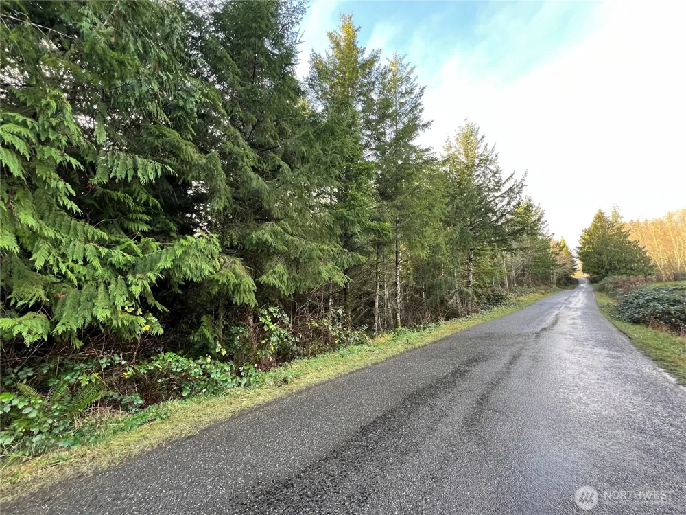 1 xxx Snow Creek Road Quilcene, WA 98376